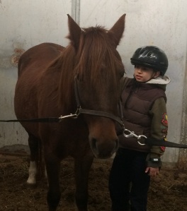 My son grooming a horse
